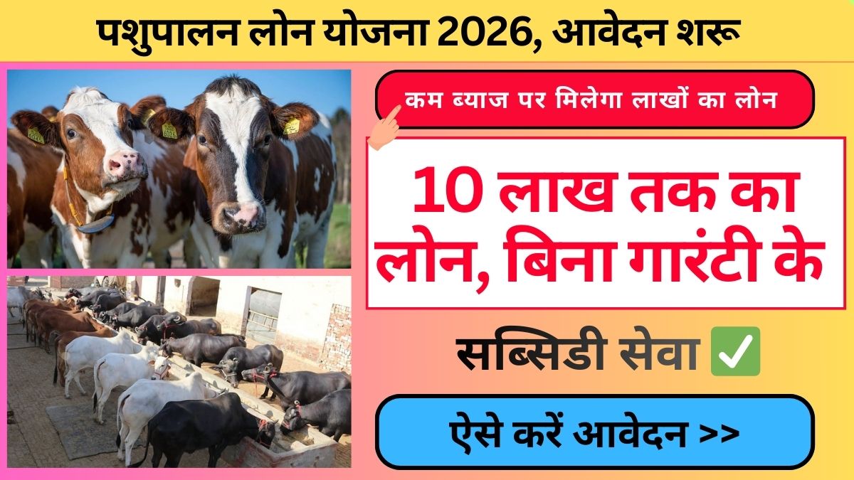 Pashupalan Loan Yojana 2026 : घर बैठे करें पशुपालन लोन योजना 2026 के लिए आवेदन, आज ही लगा दें अपनी अर्जी