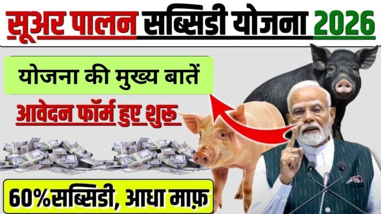 Pig Farming Loan Kaise Le 2026: सूअर पालन के लिए लोन कैसे लें, पात्रता, लाभ और आवेदन प्रक्रिया