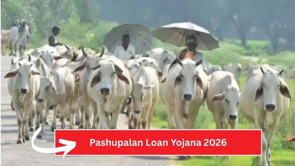 Pashupalan Loan Yojana 2026 