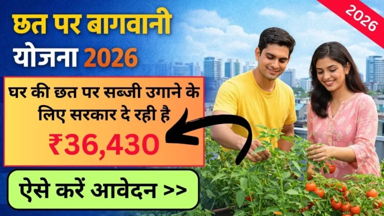 Chhat Par Bagwani Yojana 2026: बिहार सरकार घर की छत पर सब्जी उगाने के लिए दे रही है ₹36,430 की सरकारी सहायता, जानिए पात्रता, लाभ और आवेदन प्रक्रिया