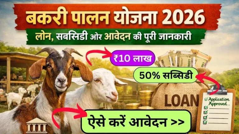 Bakri Palan Loan Yojana 2026: बकरी पालन के लिए सरकार दे रही है ₹10 लाख तक का लोन वो भी 50% सब्सिडी के साथ, जानिए आवेदन की पूरी प्रक्रिया