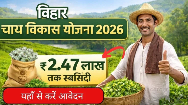 Bihar Chai Vikas Yojana 2026: सरकार दे रही है ₹2.47 लाख तक की सब्सिडी और 50% अनुदान चाय की खेती पर
